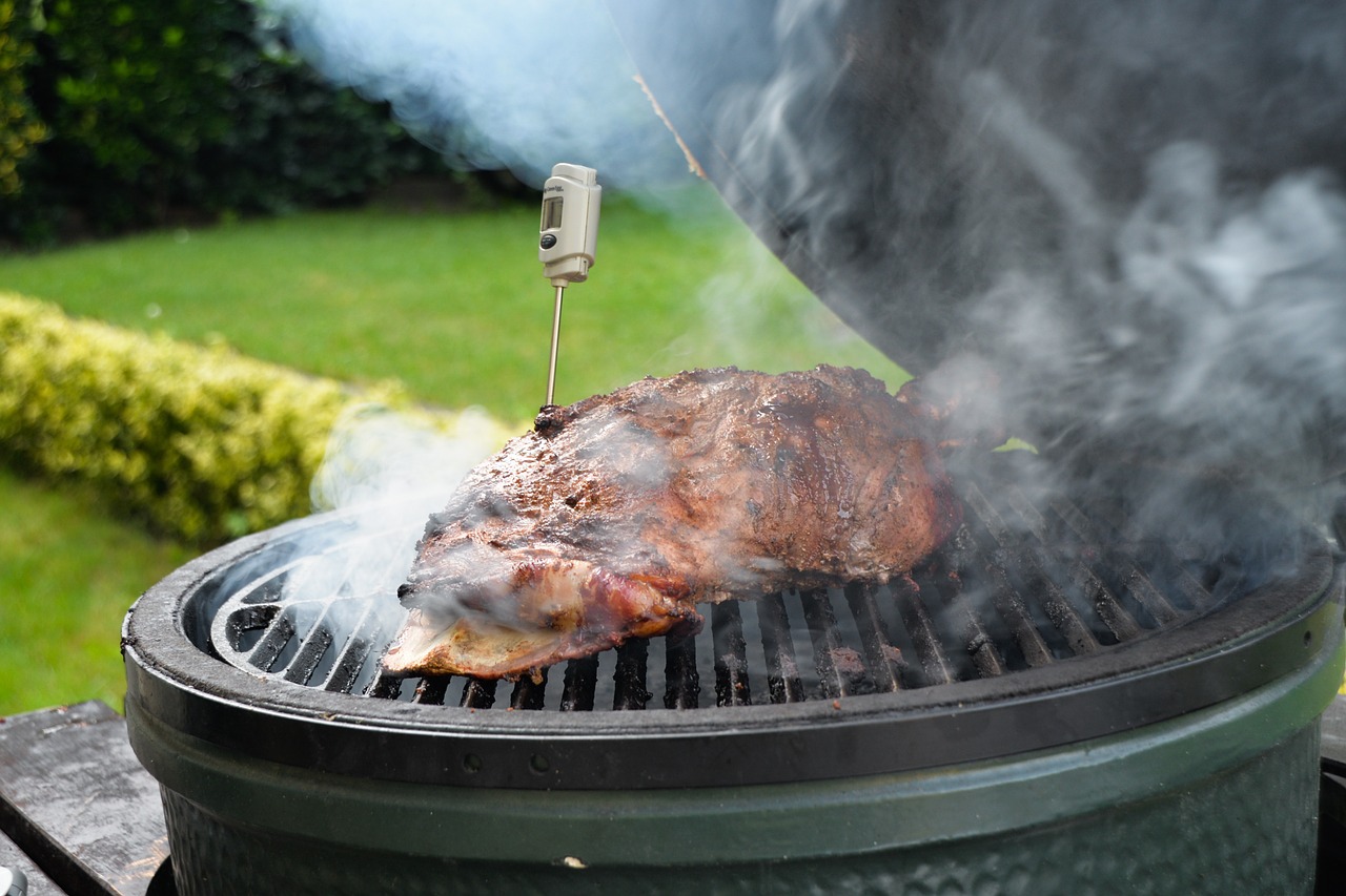 Best Gas Grills for 2020